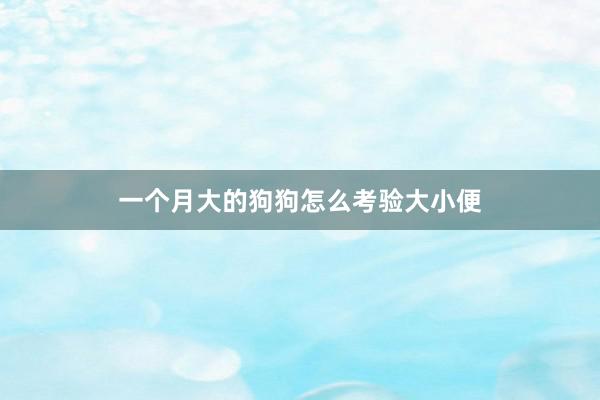 一个月大的狗狗怎么考验大小便